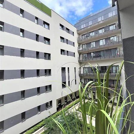 Luxe In Center With Free Parking *
